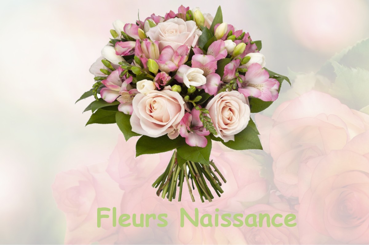 fleurs naissance ARDON